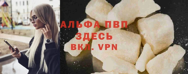 гидра Белокуриха