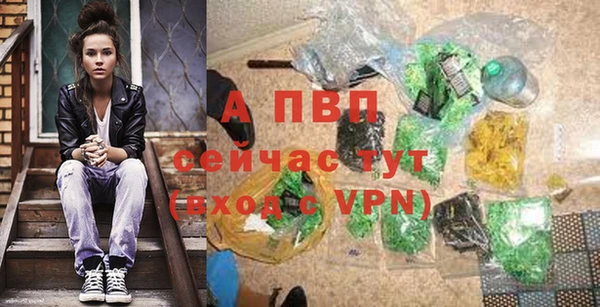 гидра Белокуриха