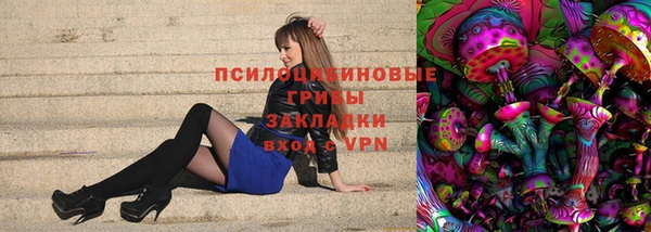 гидра Белокуриха