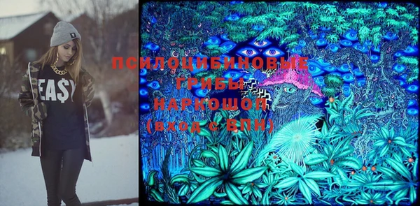 гидра Белокуриха