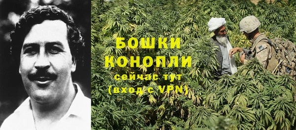 гидра Белокуриха